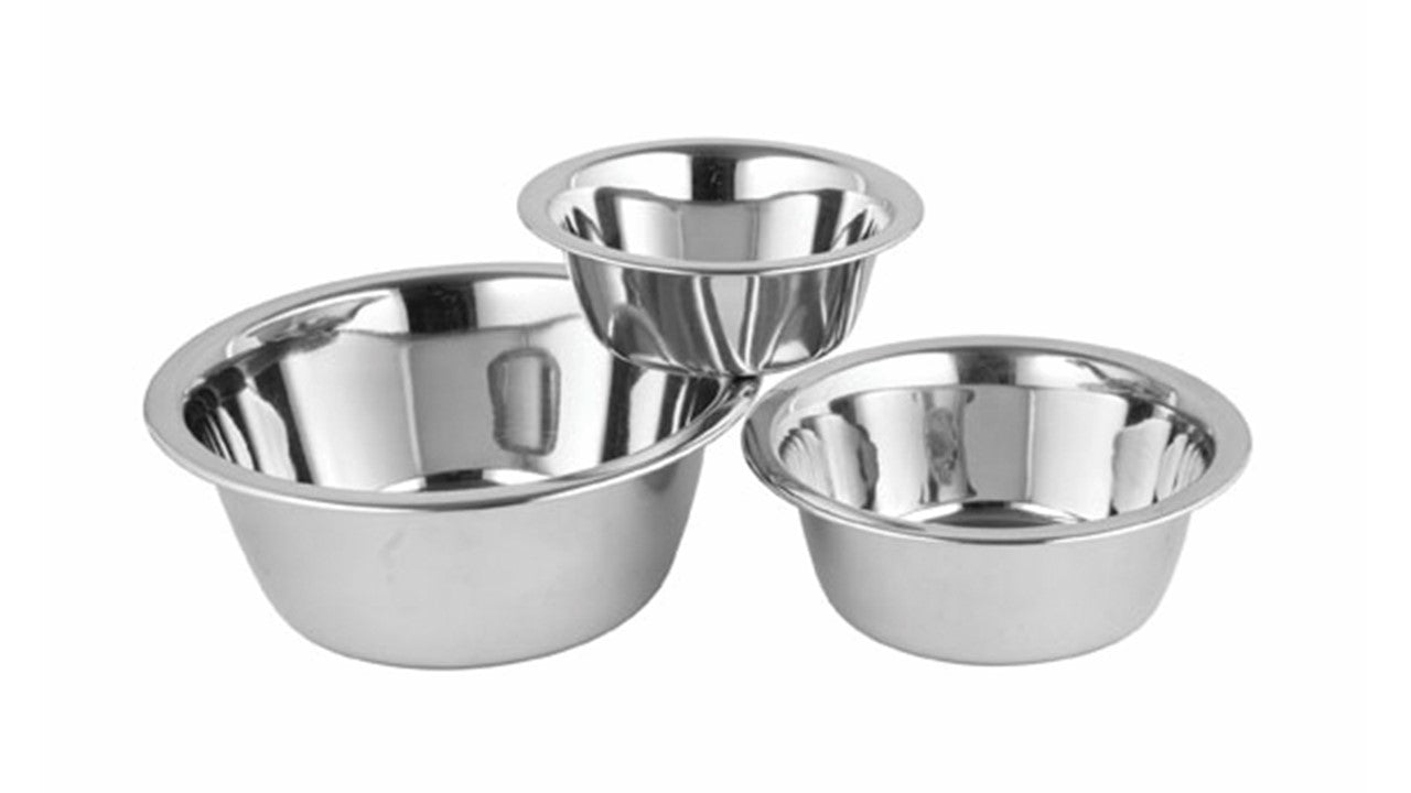 Regular Anti Skid Standard Bowls for dogs and pet-parent routines