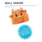 Outward Hound Reversi-Ball