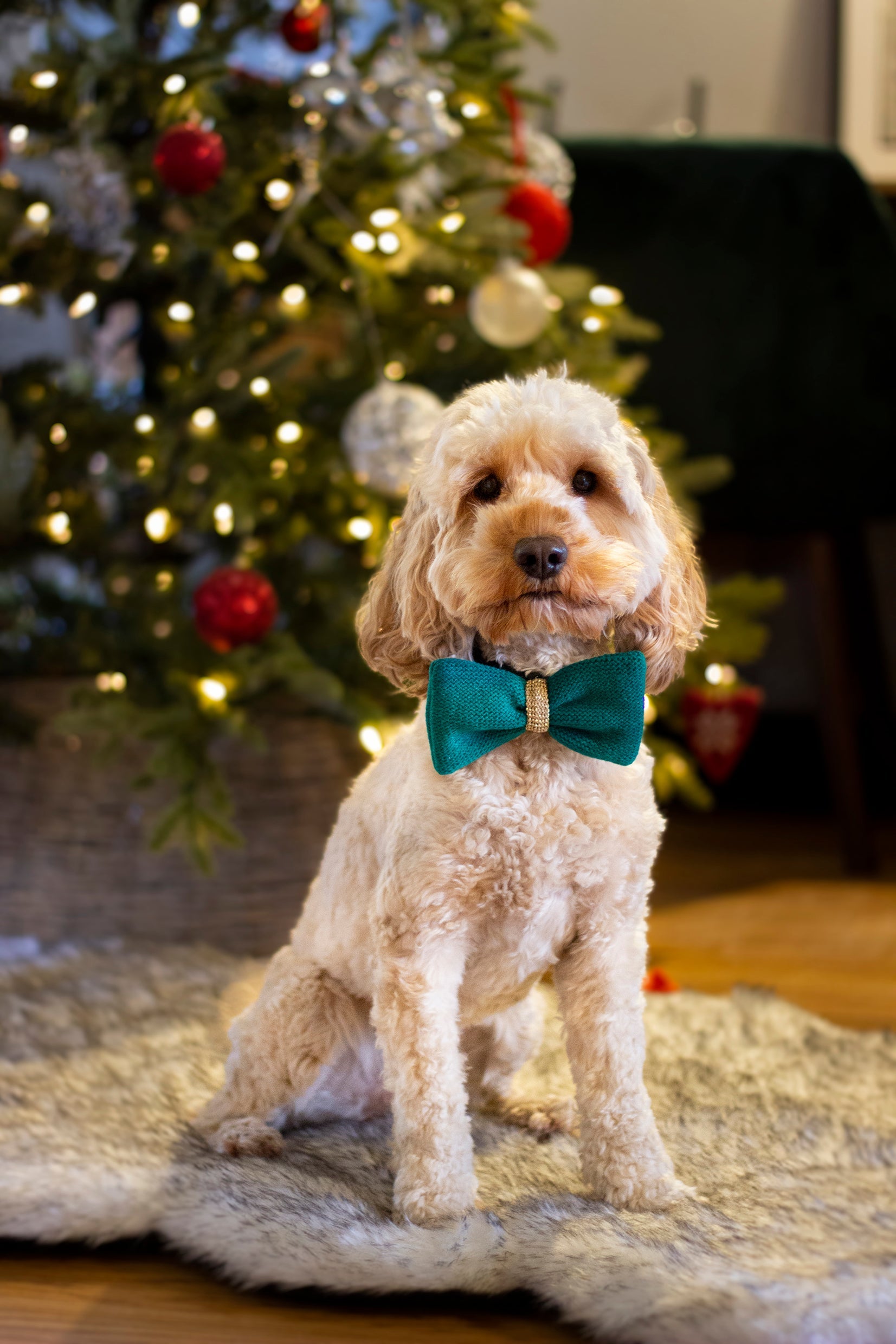 Green Knitted Bow Tie