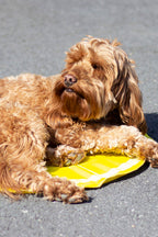 Lemon Print Circular Cool Mat