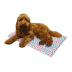 Watermelon Print Rectangular Cool Mat