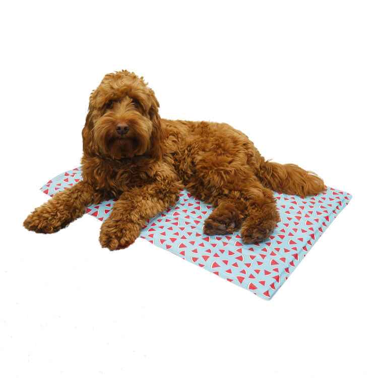 Watermelon Print Rectangular Cool Mat