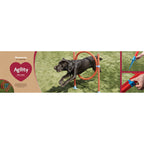 The Rosewood Dog Agility Hoop Jump