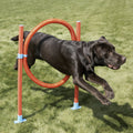 The Rosewood Dog Agility Hoop Jump for dogs and pet-parent routines