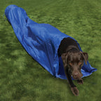 The Rosewood Dog Agility Tunnel for dogs and pet-parent routines