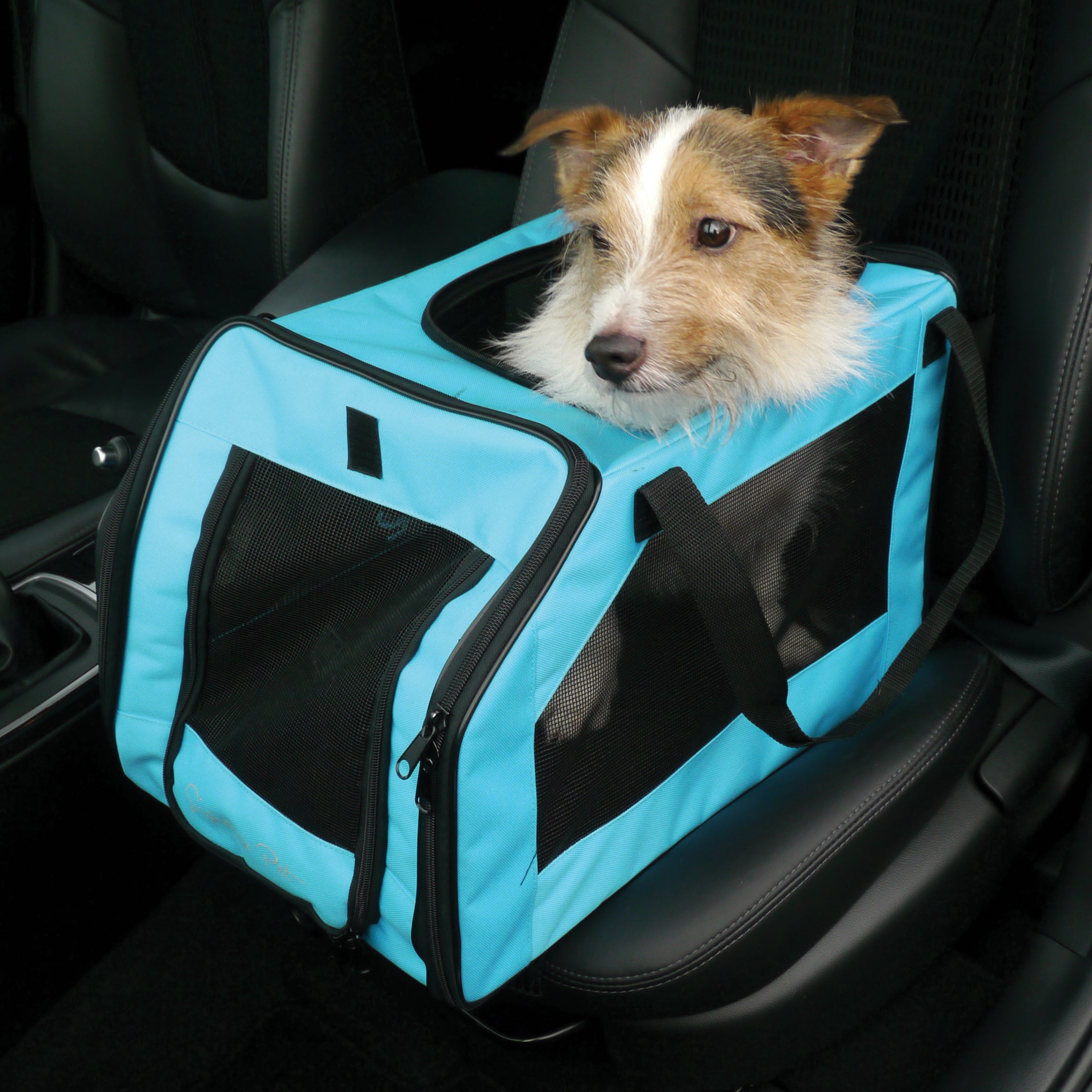 Options Car Seat Carrier
