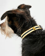 Rosewood_Joules Navy Coastal Dog Collars