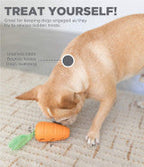 TOYD116_Petstages_Carrot Stuffer