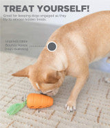 TOYD116_Petstages_Carrot Stuffer