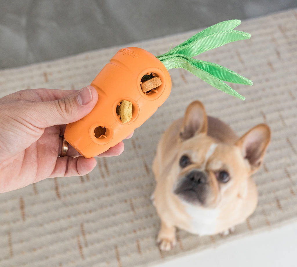 TOYD116_Petstages_Carrot Stuffer
