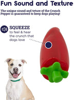 TOYD128_Petstages_Crunch Veggies Pepper M