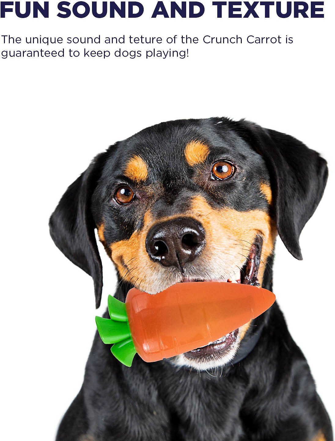 TOYD129_Petstages_Crunch Veggies Carrot