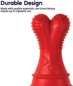 TOYD133_Petstages_Bunny Grunt Fetch Stick