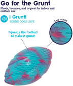 TOYD135_Petstages_Grunt 'n Punt Football