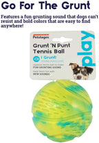 TOYD136_Petstages_Grunt 'n Punt Tennis Ball Grn