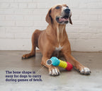 TOYD143_Petstages_Multi-squeak Bone
