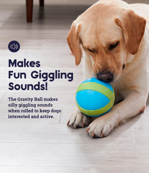 TOYD144_Petstages_Gravity Ball