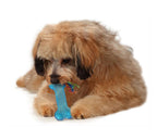 TOYD15_Petstages_ORKA Bone Mini