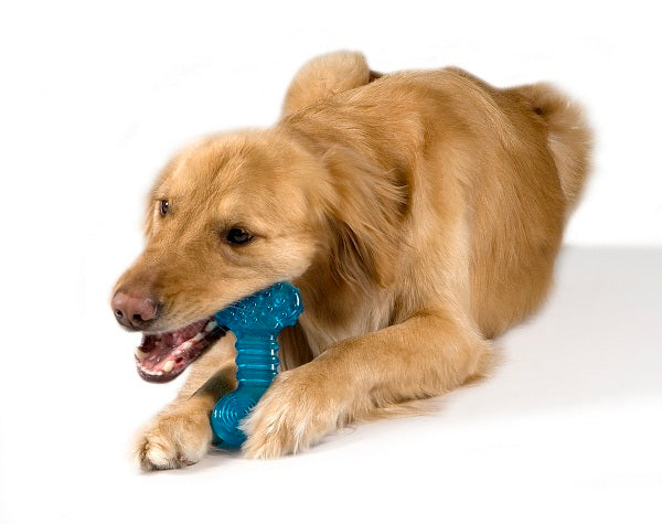 TOYD33_Petstages_ORKA Bone
