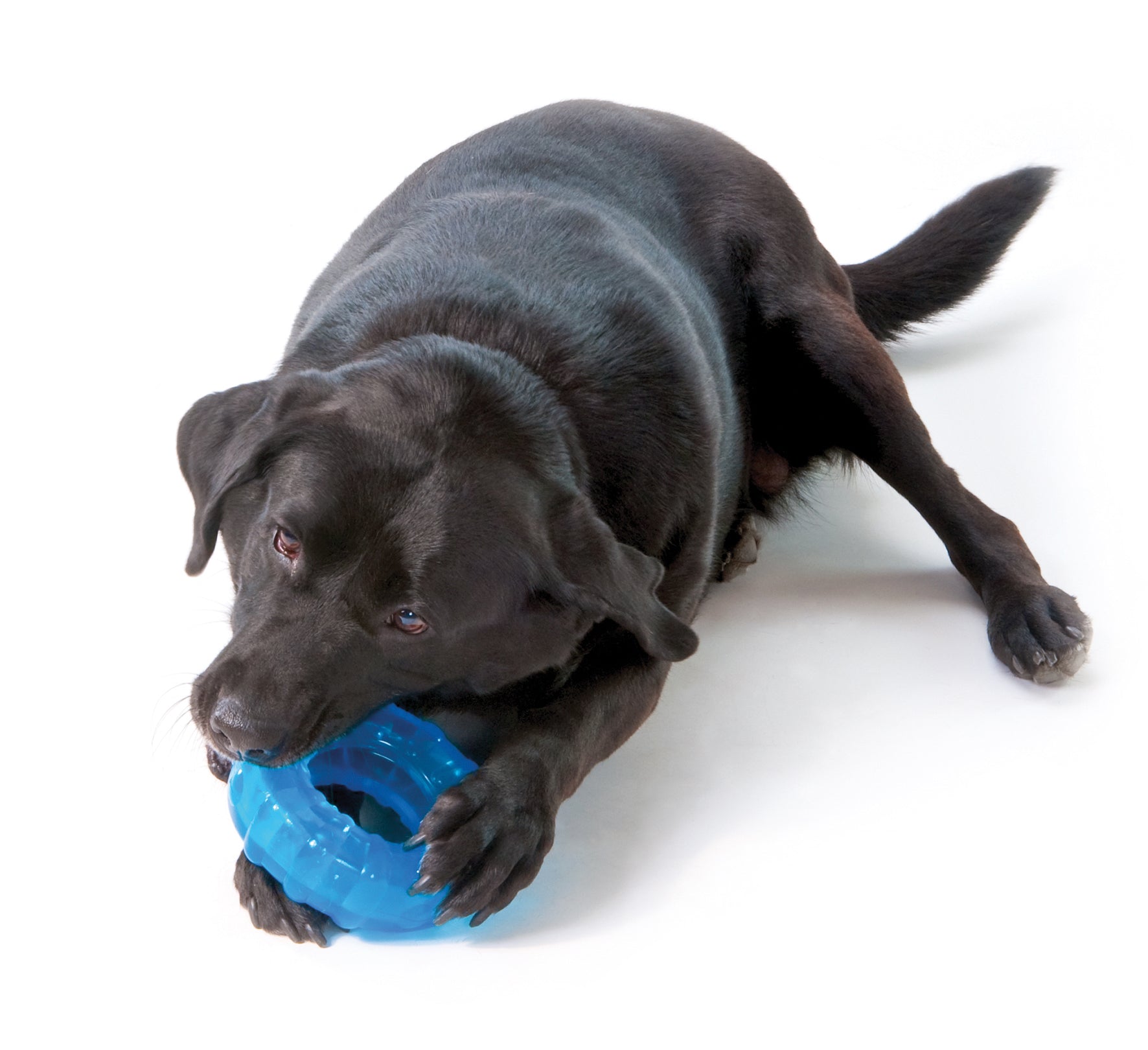 TOYD55_Petstages_ORKA Tyre