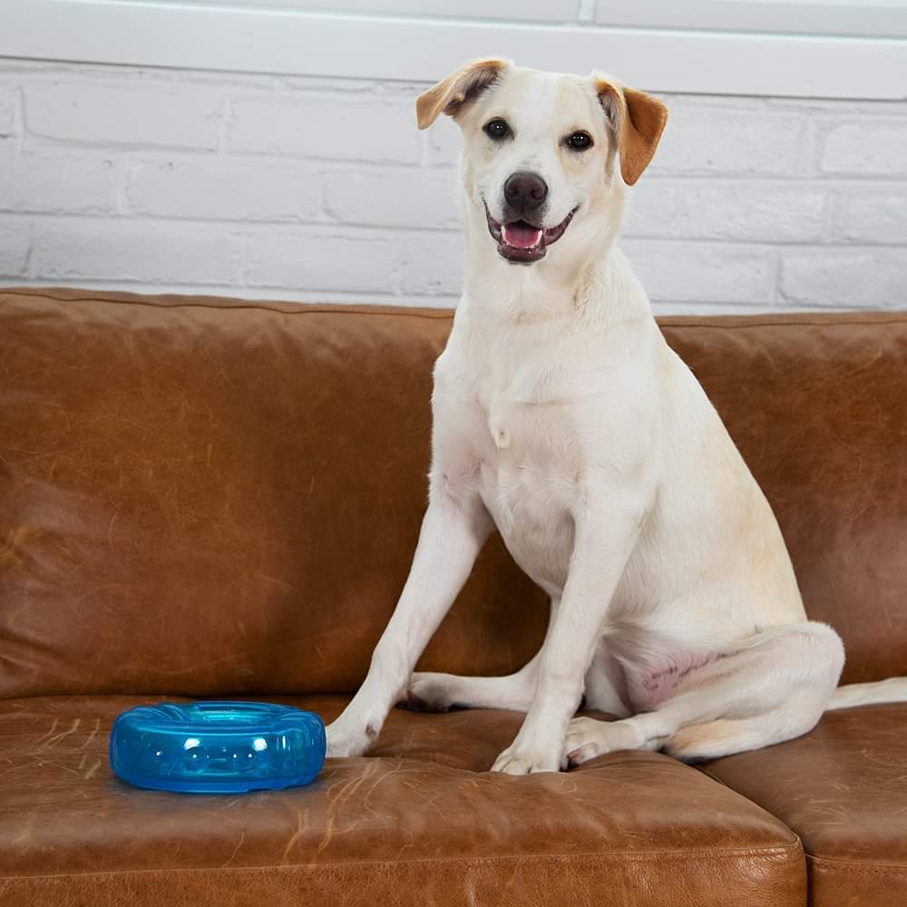TOYD55_Petstages_ORKA Tyre
