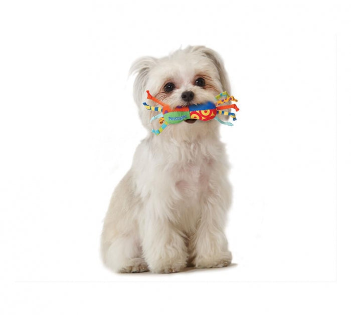 TOYD60_Petstages_Mini Chew Starter Pack