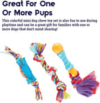 TOYD66_Petstages_Mini Dental Chew Pack