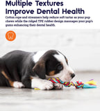 TOYD66_Petstages_Mini Dental Chew Pack
