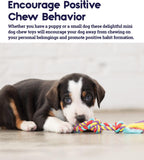 TOYD66_Petstages_Mini Dental Chew Pack