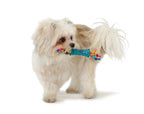 TOYD66_Petstages_Mini Dental Chew Pack