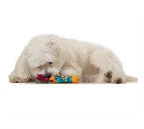TOYD66_Petstages_Mini Dental Chew Pack