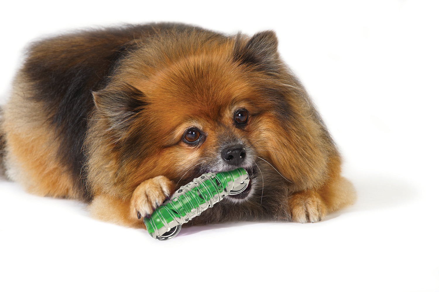 Petstages_Crunchcore