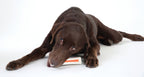TOYD79_Outward Hound_Petstages_Beyond Bone