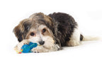 TOYD84_Petstages_ORKA Chew Pair Petite