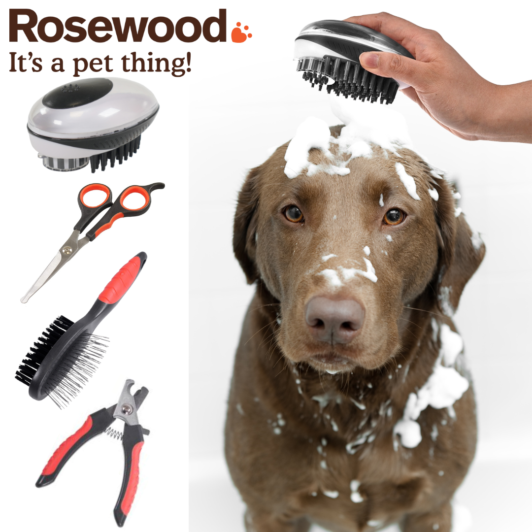 Dog Grooming Kit for dogs and pet-parent routines