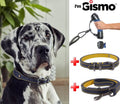 Dog Walking Kit - Blue for dogs and pet-parent routines