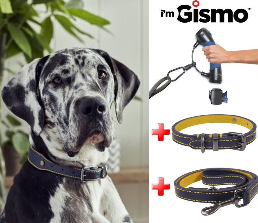 Dog Walking Kit - Blue for dogs and pet-parent routines