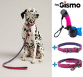 Dog Walking Kit - Pink for dogs and pet-parent routines