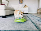 Nina Ottosson Wobble Bowl Puzzle Toy