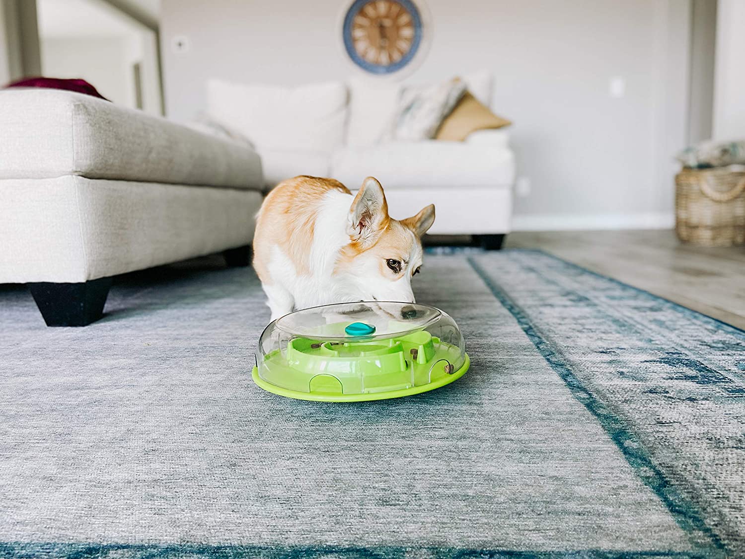 Nina Ottosson Wobble Bowl Puzzle Toy