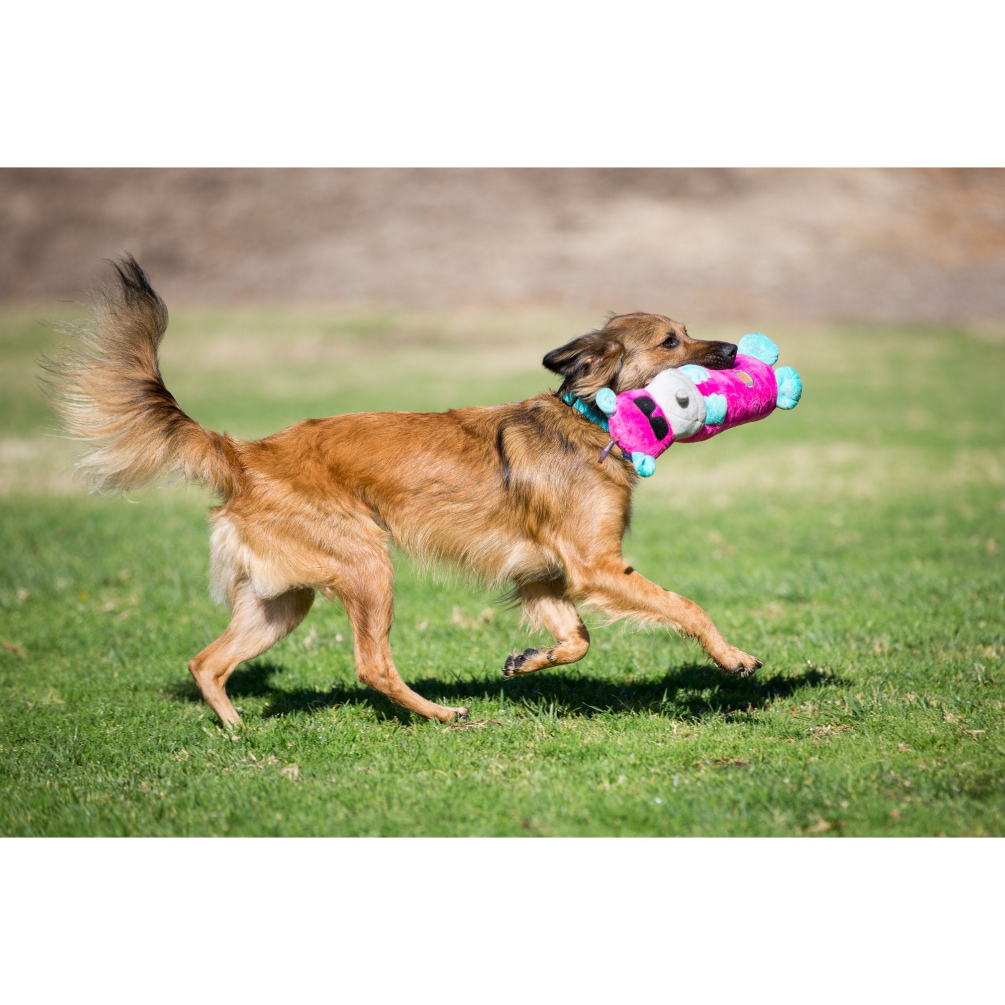 Charming Pet Bottle Bros Toy