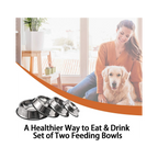 Stainless Steel Dog Bowls - 2 Pack for Dog Mess Cleaning