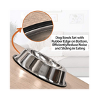 Stainless Steel Dog Bowls - 2 Pack for Dog Mess Cleaning