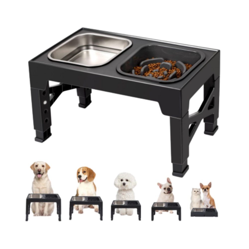 Raised Feeding Station Pro for Daily Dog Feeding
