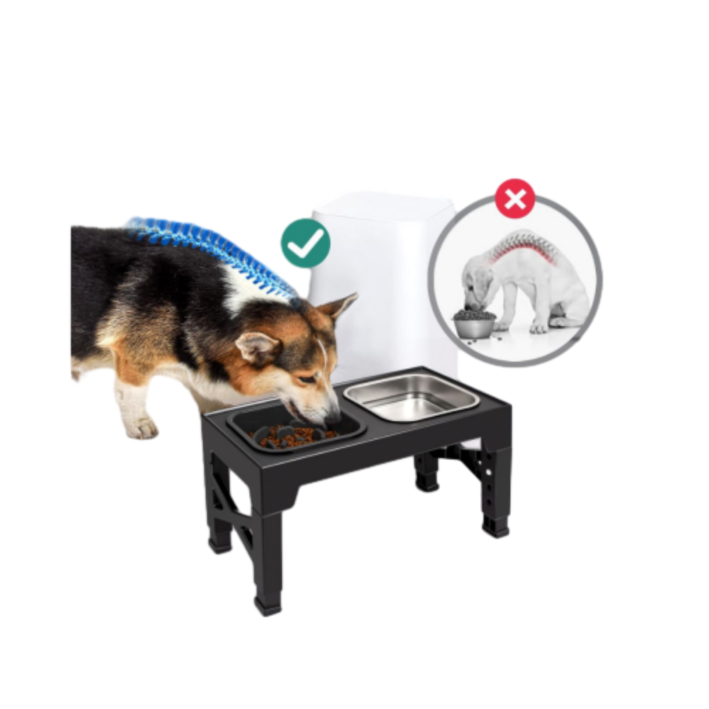 Raised Feeding Station Pro for Daily Dog Feeding