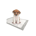 Puppy Training Pads for dogs and pet-parent routines