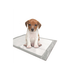 Puppy Training Pads for dogs and pet-parent routines