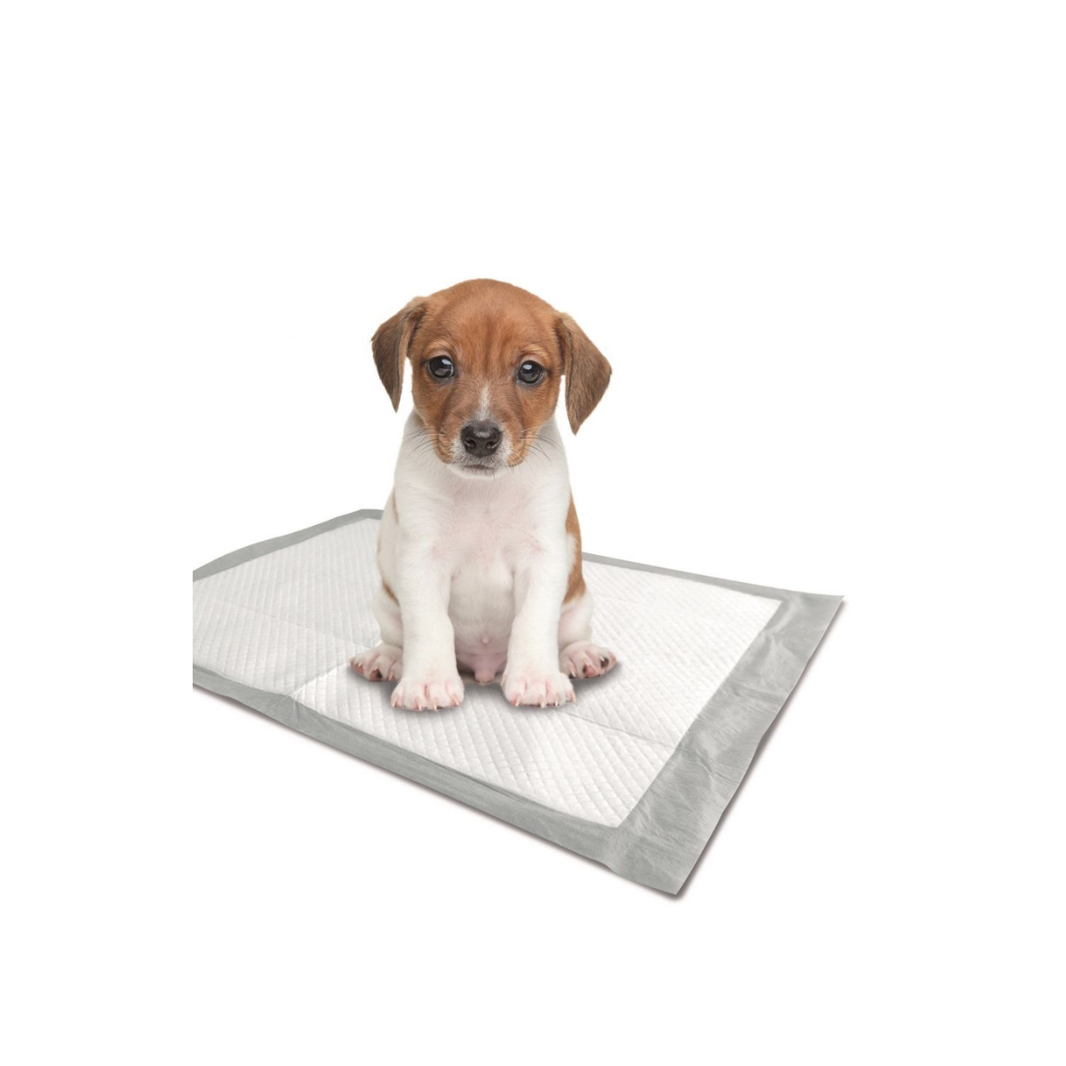 Puppy Training Pads for dogs and pet-parent routines