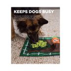 Nina Ottosson Activity Matz Garden Game for Dogs