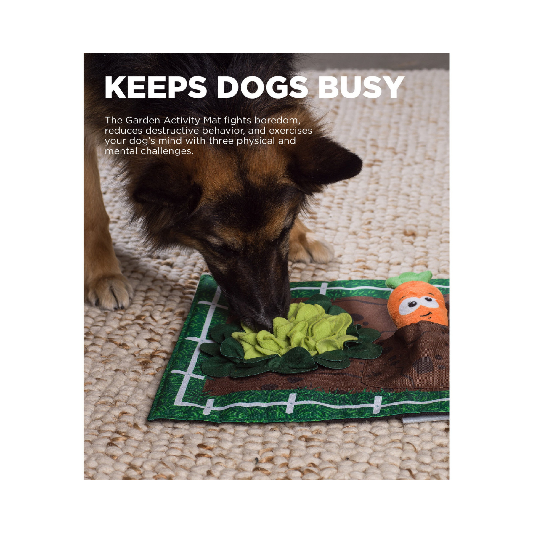 Nina Ottosson Activity Matz Garden Game for Dogs
